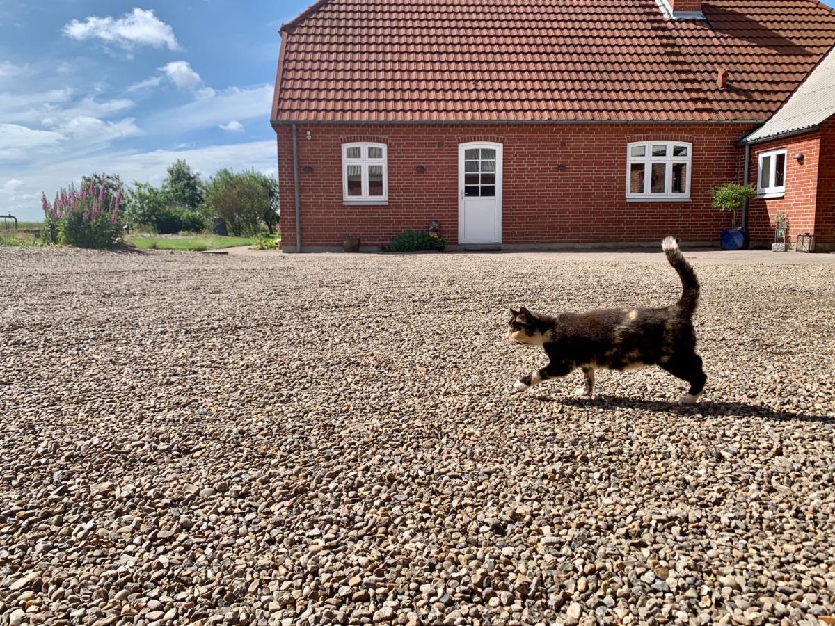 Hennebjerg Overnatning Stavso Buitenkant foto